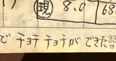 亡き母が母子手帳に残した謎の言葉“チョチチョチ”…いったい何？　愛おしい成長記録に「感謝が溢れました」