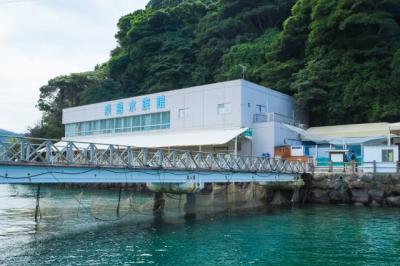 「頑張れ手前の子！」流しアジに挑むペンギンたち、個性あふれる姿に「要領悪くて草」「毎日見たい」