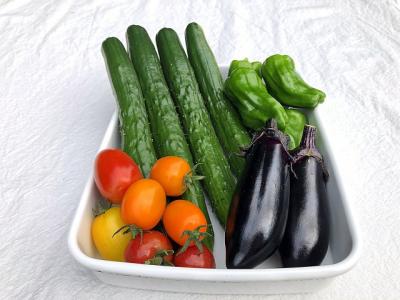「知らなかった！」トマトもピーマンも、キユーピーが紹介した『冷凍保存できる野菜』【保存版】