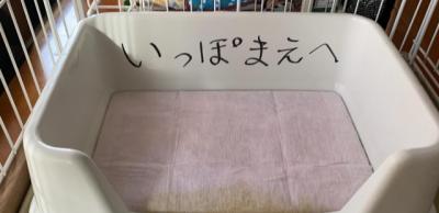 「いっぽまえへ」犬のトイレに貼られた“ひらがな”のお願い　飼い主も驚いたその後の変化
