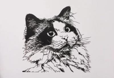 「これが一枚の紙から？」ふわふわの毛並みまで表現した“ラグドール”の切り絵　制作で苦労したのは「顔の模様と瞳」