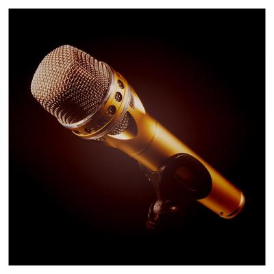 LOUDNESS二井原実、故・樋口宗孝さんの写真とともに45周年ライブへの思い「ひぐっつぁんと一緒にたくさんライブやった思い出の場所です」